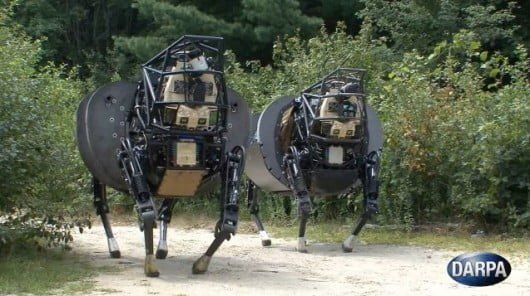 Se pregateste primul cal-robot de lupta (VIDEO)