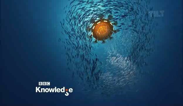 BBC Knowledge se lanseaza in Romania. Vezi ce programe aduce noul canal