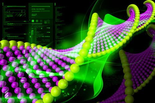 dna