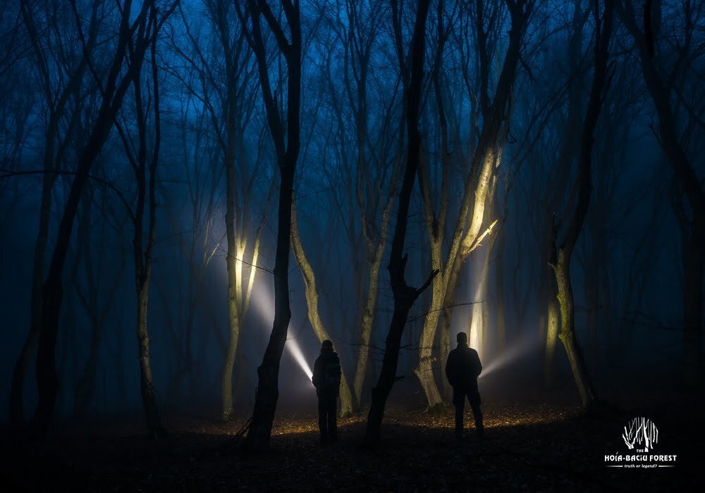 Pădurea Hoia – Baciu Misterele paranormale din Pădurea Hoia - Baciu, subiect de film